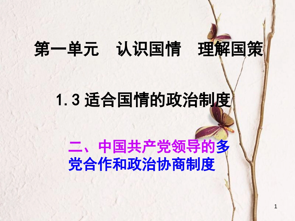 九年级政治全册 第一单元 认识国情 了解制度 1.3 适合国情的政治制度（民族区域自治和基层群众自治制度）课件 粤教版_第1页