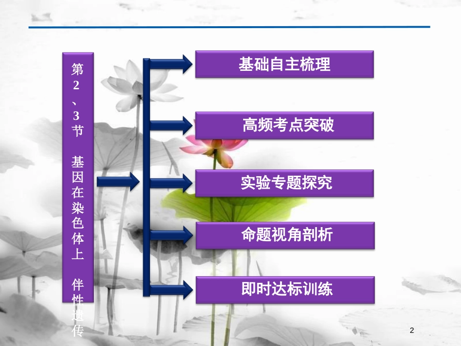 （广东专用）高考生物总复习第2章基因和染色体的关系第2节基因在染色体上第3节伴性遗传课件新人教版必修2_第2页