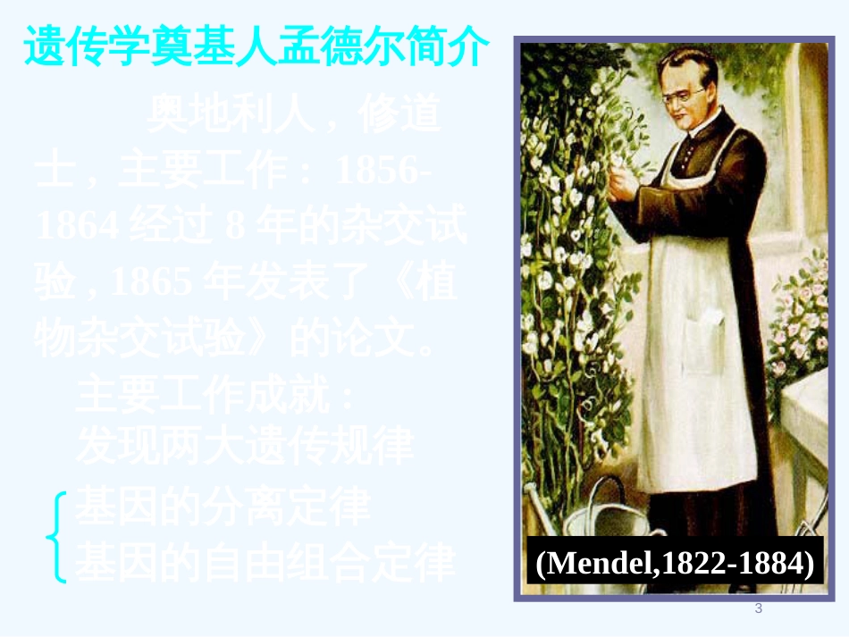 高中生物《第一章 第一节 孟德尔的豌豆杂交实验（一）》课件2 新人教版必修2_第3页