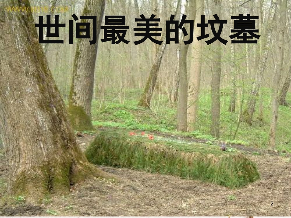 河北省临西县八年级语文上册 第三单元 14 世间最美的坟墓课件 河大版_第2页