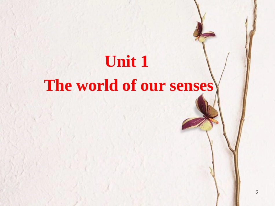 湖南省茶陵县高中英语 Unit 1 The world of our senses Project课件 牛津译林版必修3_第2页