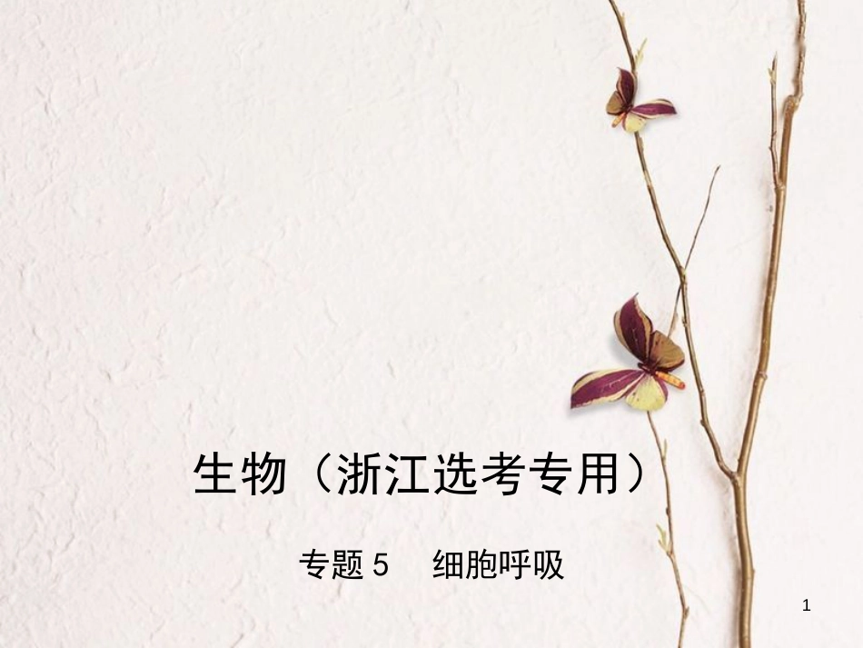 （B版，浙江选考专用）2019版高考生物总复习专题5细胞呼吸课件_第1页