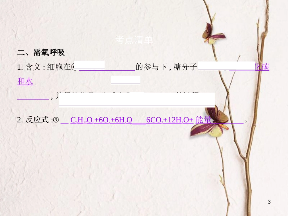 （B版，浙江选考专用）2019版高考生物总复习专题5细胞呼吸课件_第3页