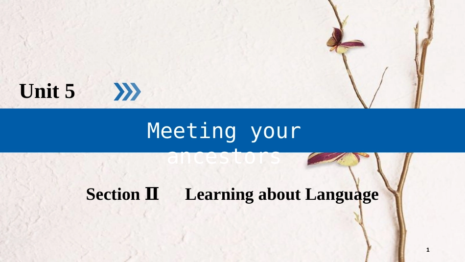 高中英语 Unit 5 Meeting your ancestors Section 2 Learning about Language课件 新人教版选修8_第1页