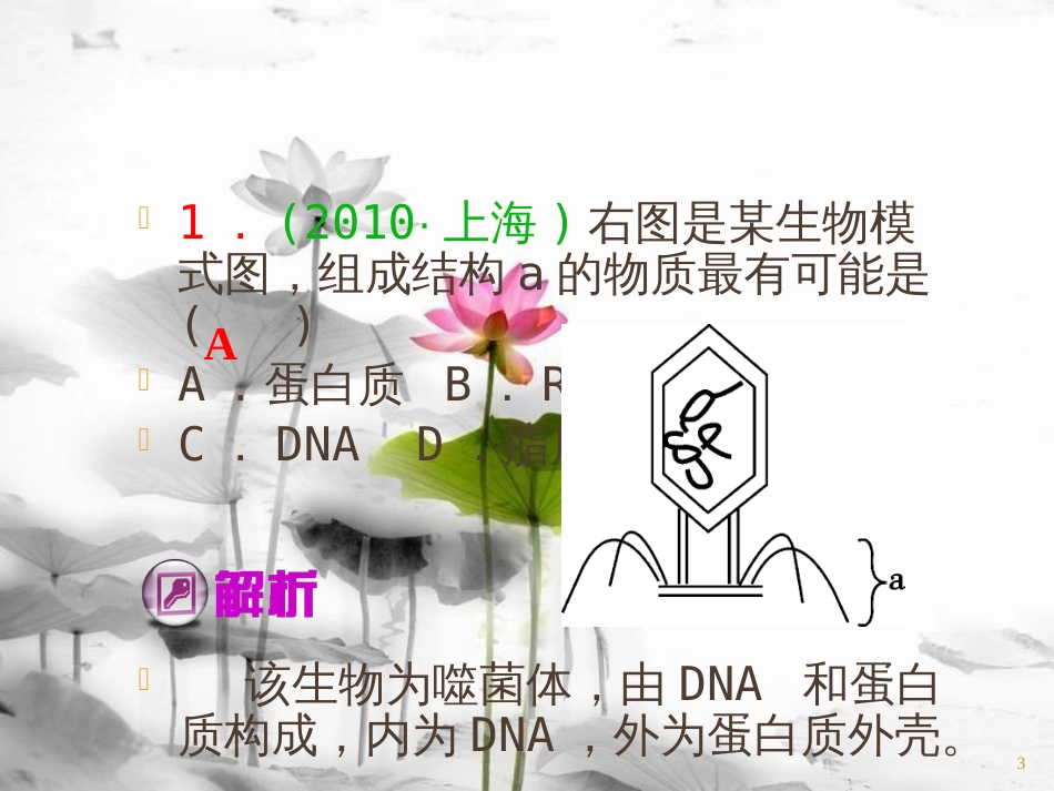 （山西专用）高三生物一轮复习 第15讲 DNA是主要的遗传物质和DNA分子的结构课件 新人教版必修2_第3页