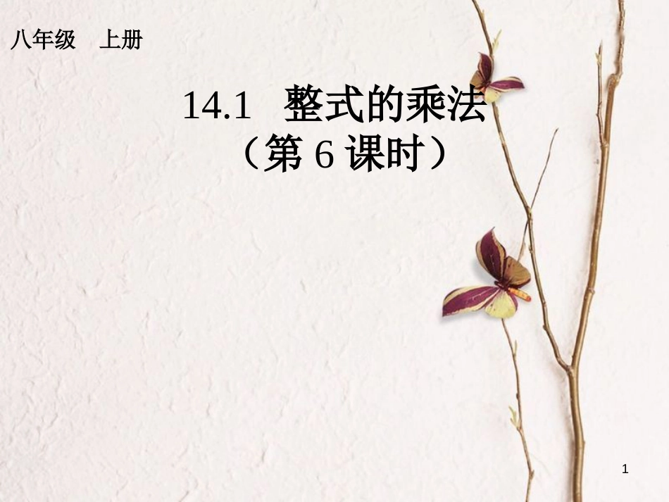 广东省中山市沙溪镇八年级数学上册 14.1 整式的乘法（第6课时）教学课件 （新版）新人教版_第1页