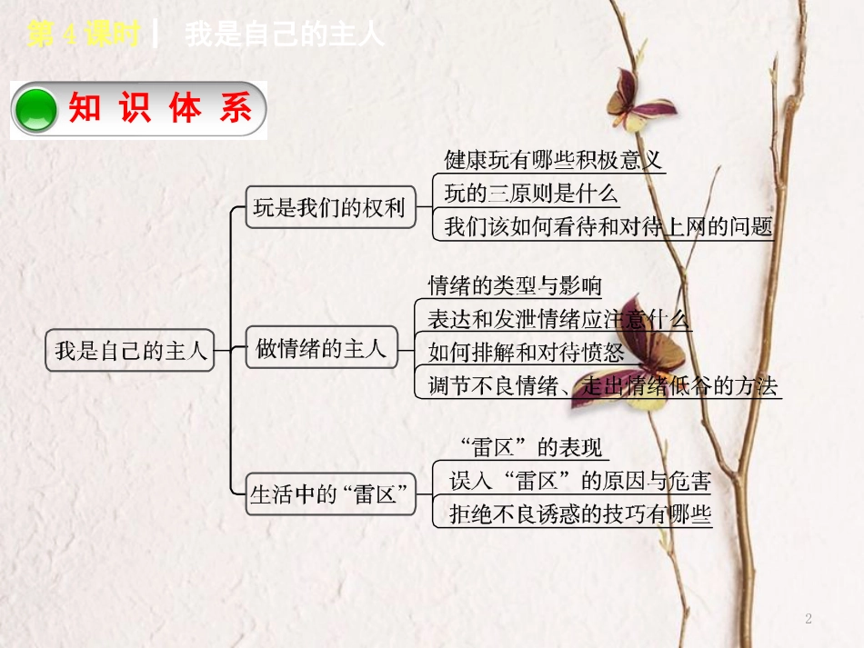 （湖南专版）中考政治教材梳理第一部分七年级第4课时我是自己的主人复习课件_第2页