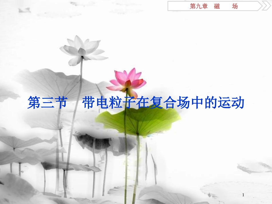（新课标）高考物理一轮复习第九章磁场第三节带电粒子在复合场中的运动课件_第1页