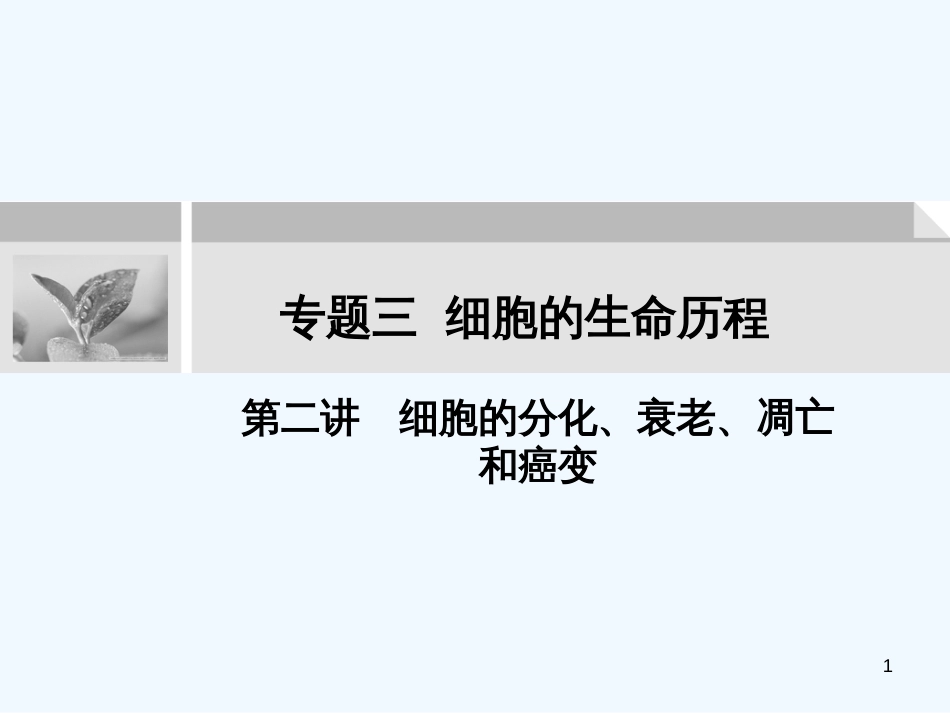 高考生物 专题三 细胞的生命历程 第二讲细胞的分化、衰老、凋亡和癌变课件 人教版_第1页