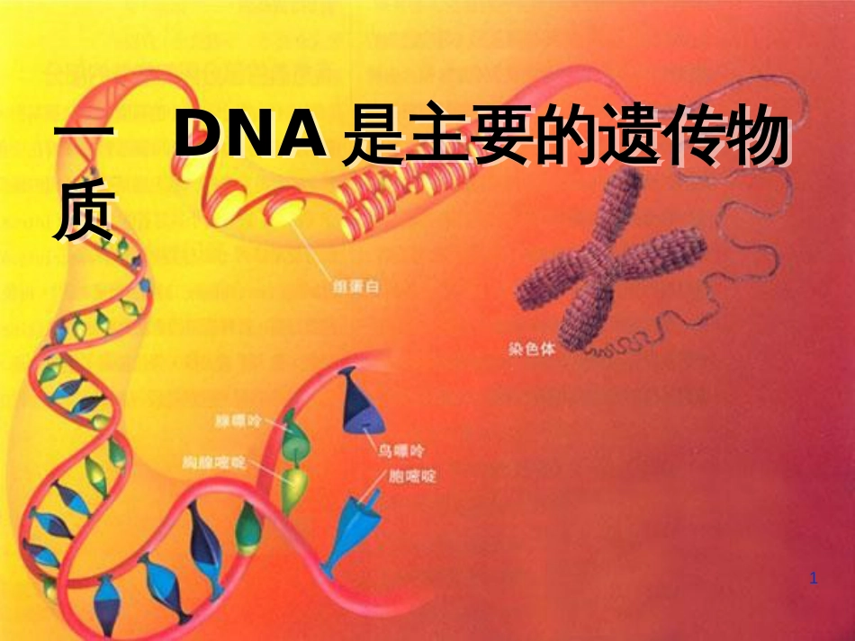 辽宁省沈阳市高中生物 第三章 细胞的基本结构 3.1 DNA是主要的遗传物质课件 新人教版必修1_第1页