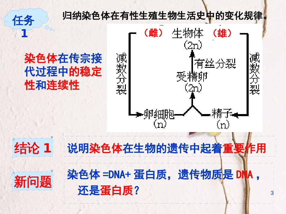 辽宁省沈阳市高中生物 第三章 细胞的基本结构 3.1 DNA是主要的遗传物质课件 新人教版必修1_第3页