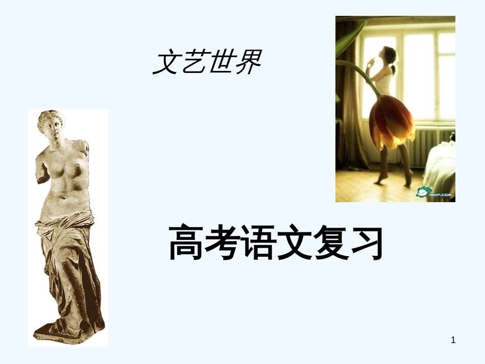 高考语文 文言文阅读复习课件2 新人教版_第1页