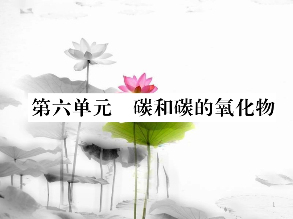 （云南专版）中考化学总复习 第一编 第6单元 碳和碳的氧化物（精练）课件_第1页
