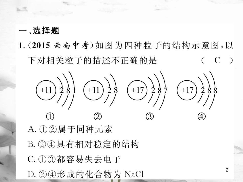 （云南专版）中考化学总复习 第一编 第3单元 物质构成的奥秘（精练）课件_第2页
