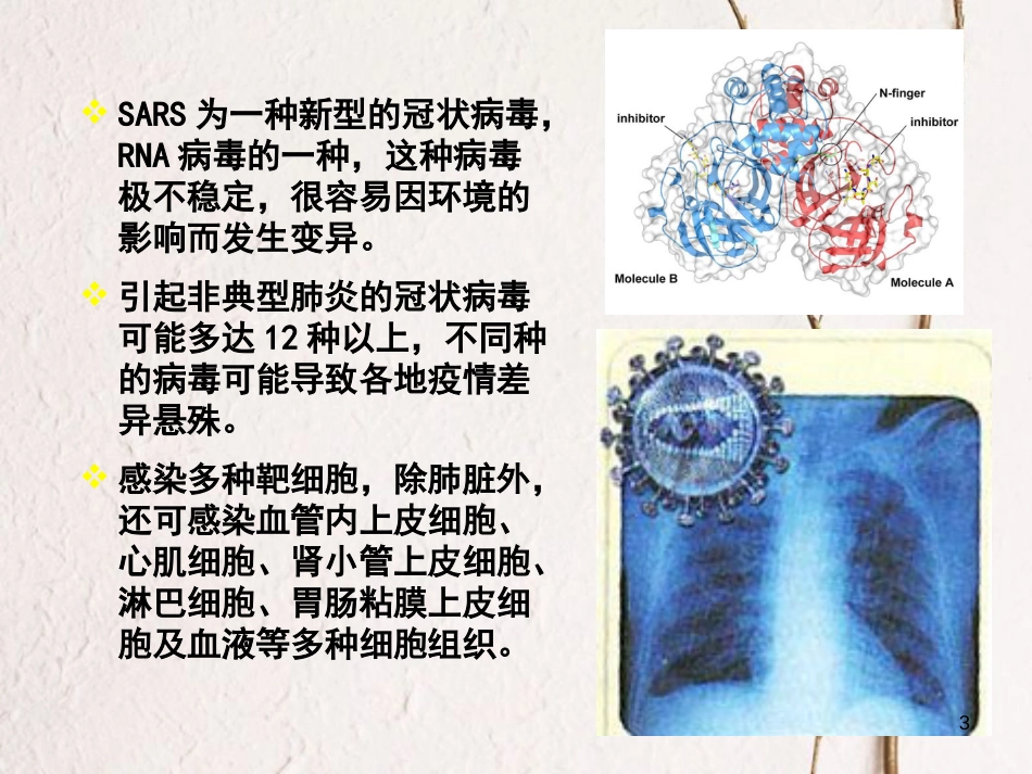 贵州省遵义市高一生物 从生物圈到细胞课件_第3页