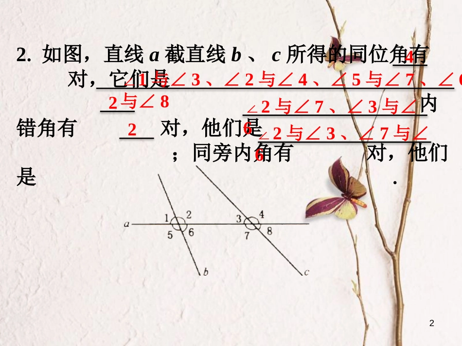 七年级数学下册 9.1 同位角、内错角、同旁内角练习素材 （新版）青岛版_第2页