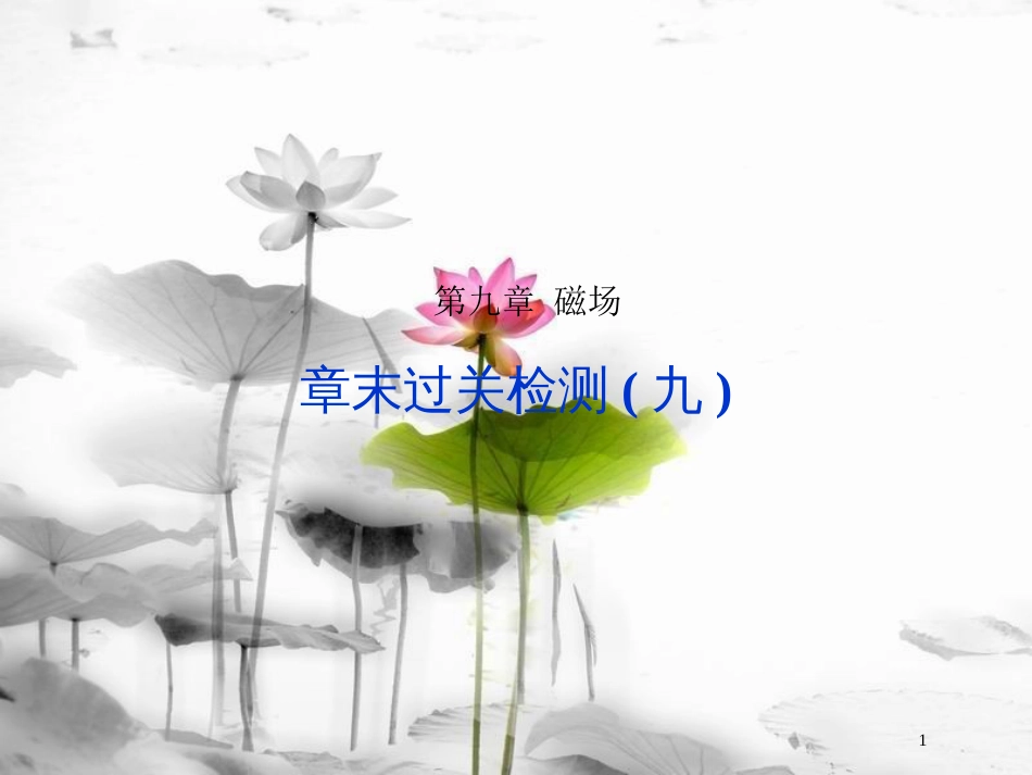 （新课标）高考物理一轮复习 第九章 磁场章末过关检测课件_第1页
