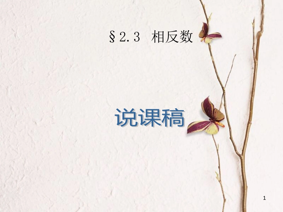 七年级数学上册 2.3 相反数说课教学课件 （新版）华东师大版_第1页