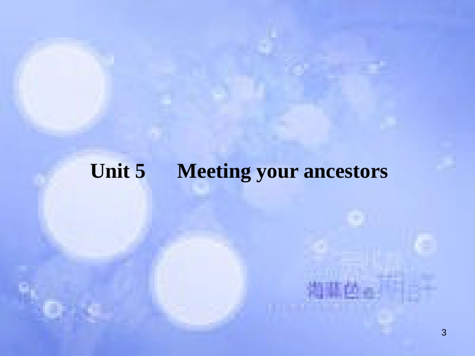 高三英语总复习 第一部分 回归教材 Unit 5 Meeting your ancestors课件 新人教版选修8_第3页