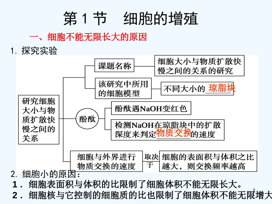 高考生物一轮复习 细胞的增殖课件_第1页