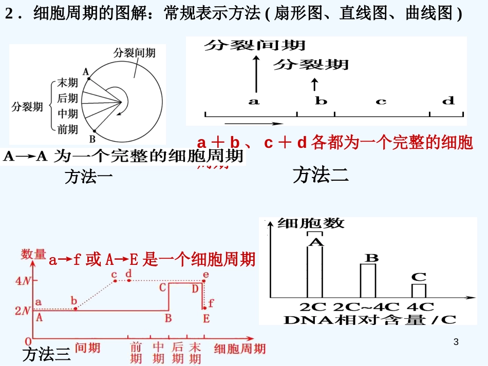 高考生物一轮复习 细胞的增殖课件_第3页