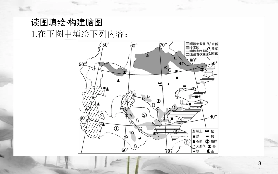 高中地理 区域地理 第12课时中亚课件_第3页