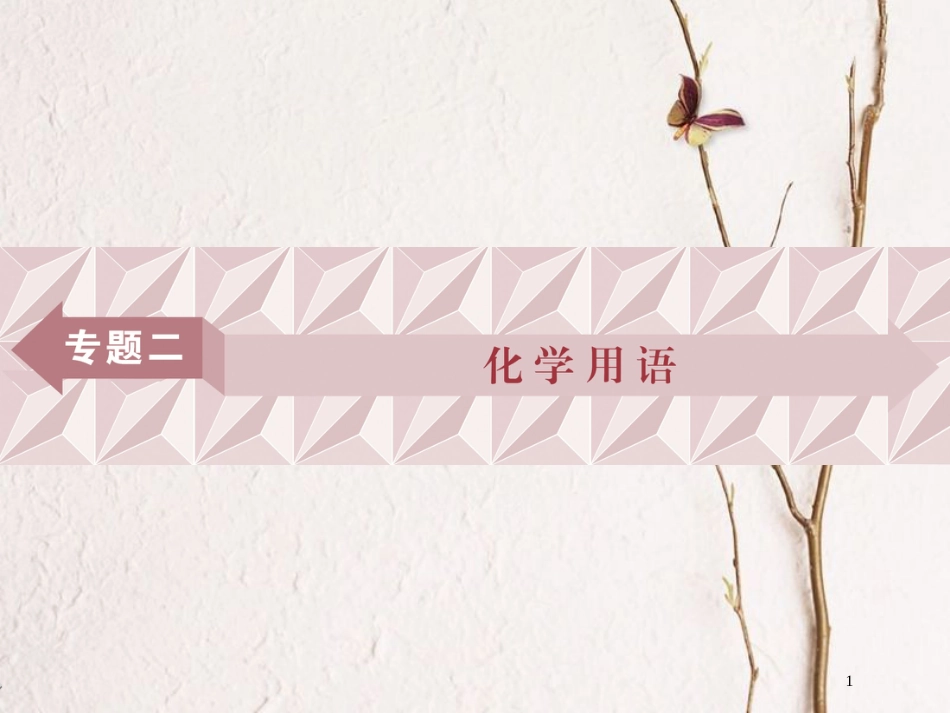 广东省年高中化学 专题二 化学用语课件 新人教版_第1页