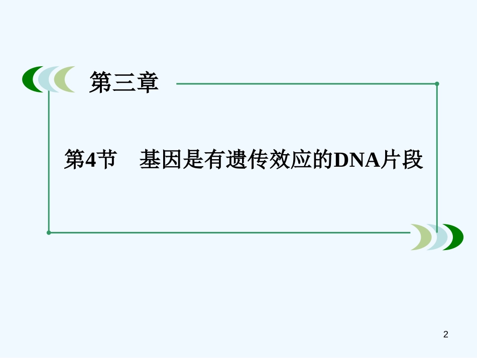 高中生物 3-4基因是有遗传效应的DNA片段课件 新人教版必修2_第2页