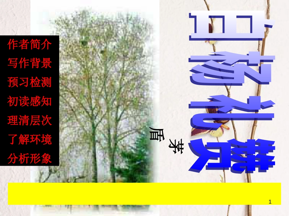 江苏省阜宁县八年级语文下册 2《白杨礼赞》课件 苏教版_第1页