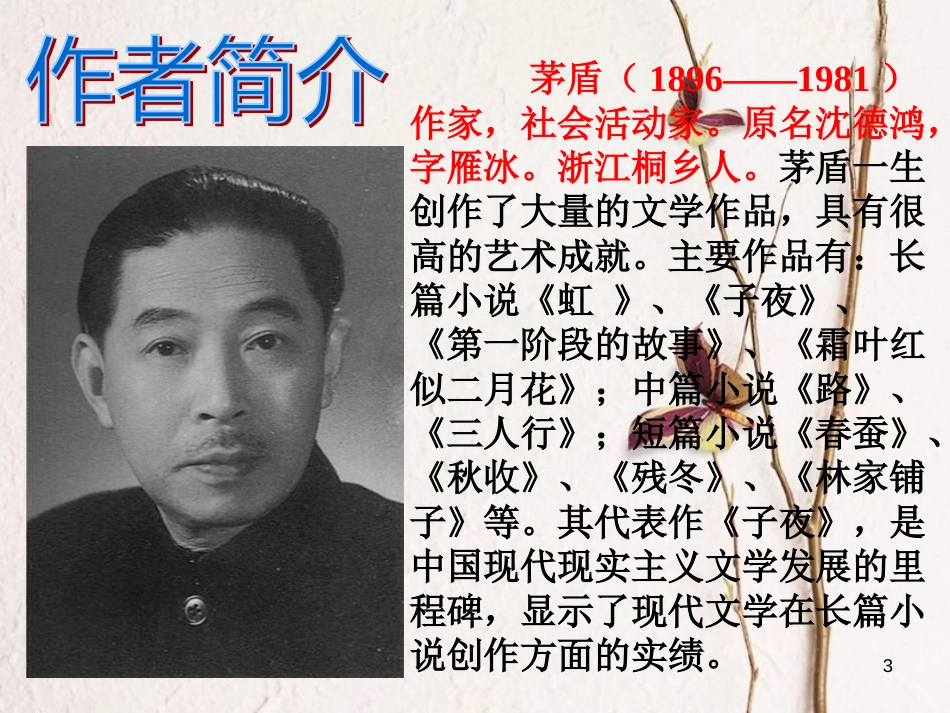 江苏省阜宁县八年级语文下册 2《白杨礼赞》课件 苏教版_第3页
