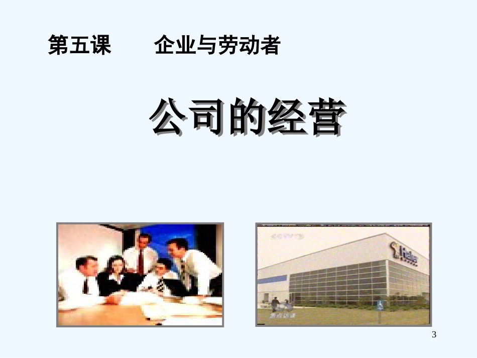 高中政治 第五课 第一框 公司的经营课件 新人教版必修1_第3页