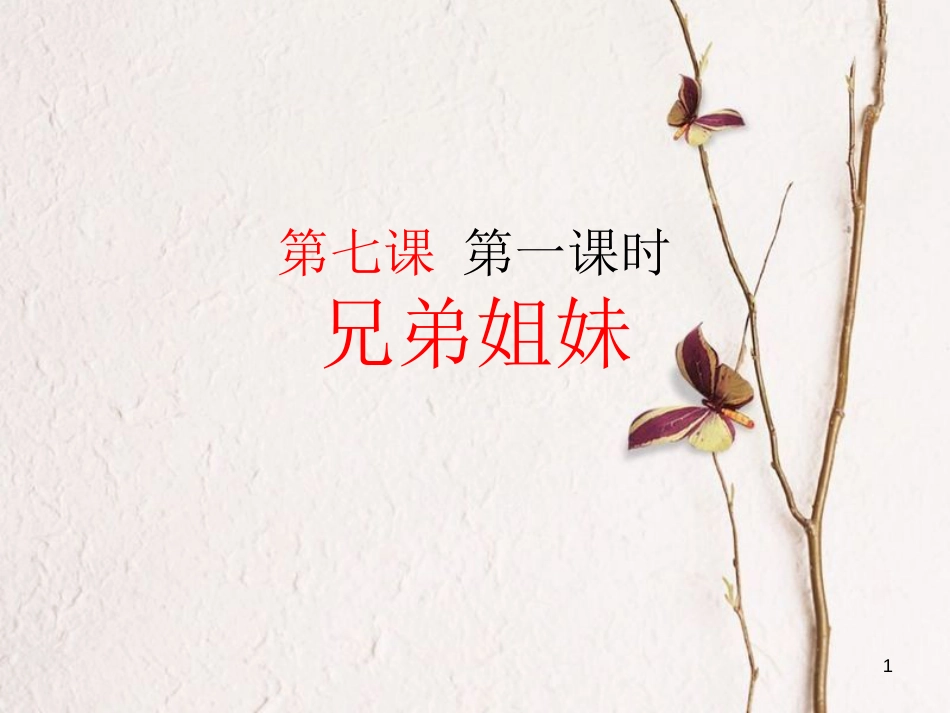 江西省定南县八年级政治下册 第三单元 在同一片土地上 7《中华民族大家庭》（第1课时 兄弟姐妹）课件 教科版_第1页