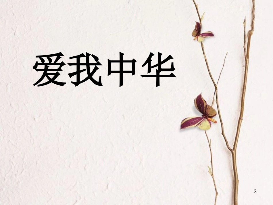 江西省定南县八年级政治下册 第三单元 在同一片土地上 7《中华民族大家庭》（第1课时 兄弟姐妹）课件 教科版_第3页