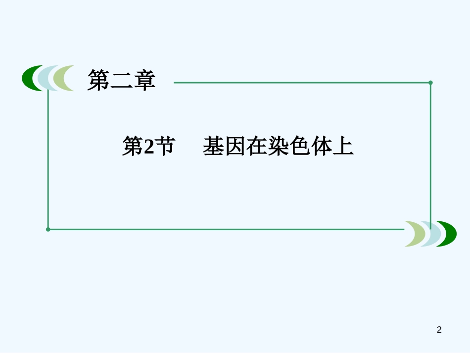 高中生物 2-2基因在染色体上课件 新人教版必修2_第2页