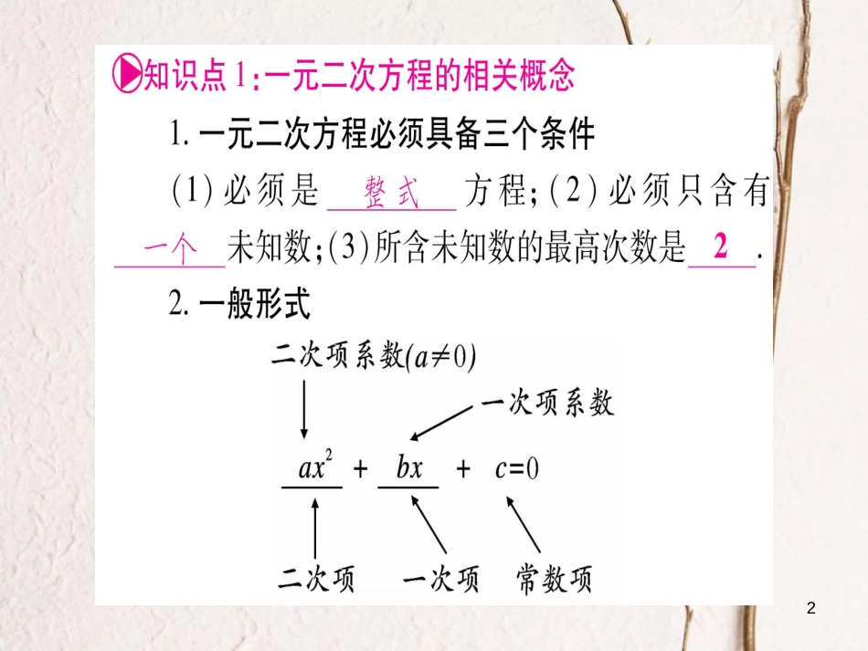 （安徽专版）中考数学总复习第一轮考点系统复习第2章方程组与不等式组第2节一元二次方程及其应用课件_第2页