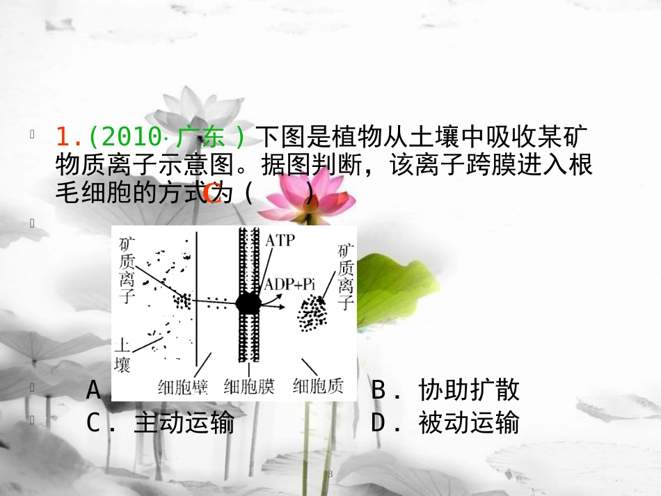 （山西专用）高三生物一轮复习 第6讲 物质的输入和输出课件 新人教版必修1_第3页