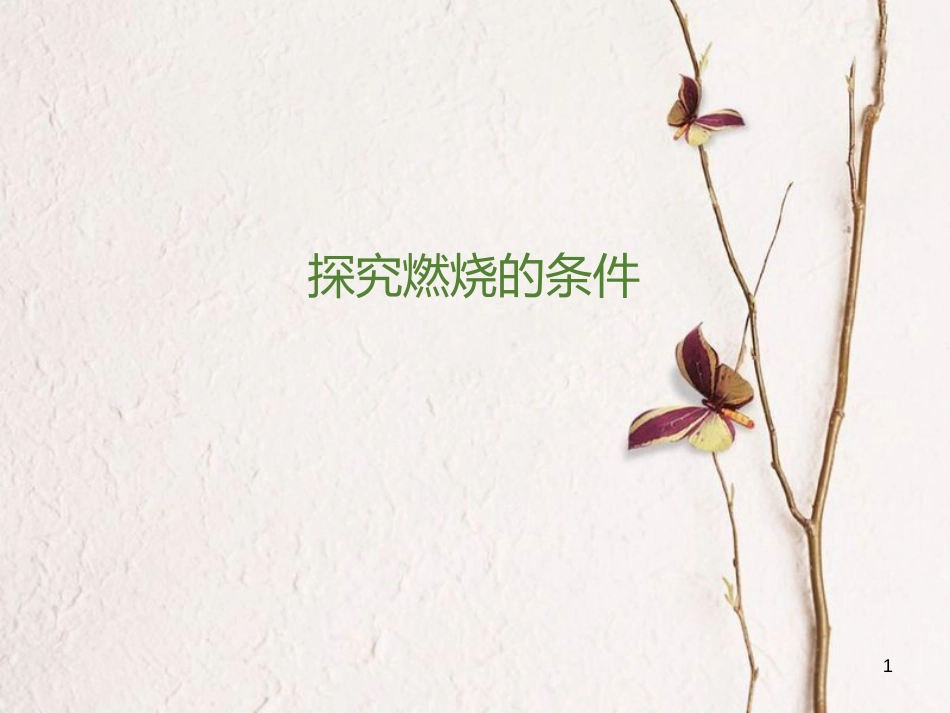 九年级化学上册 第5单元 定量研究化学反应 到实验室去 探究燃烧的条件课件2 （新版）鲁教版_第1页