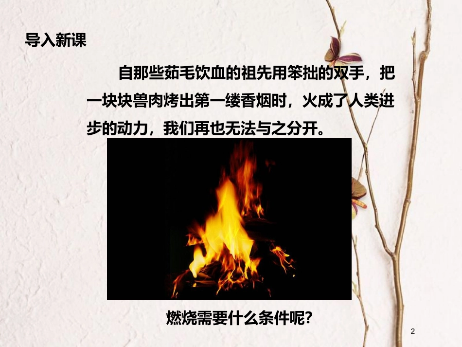 九年级化学上册 第5单元 定量研究化学反应 到实验室去 探究燃烧的条件课件2 （新版）鲁教版_第2页