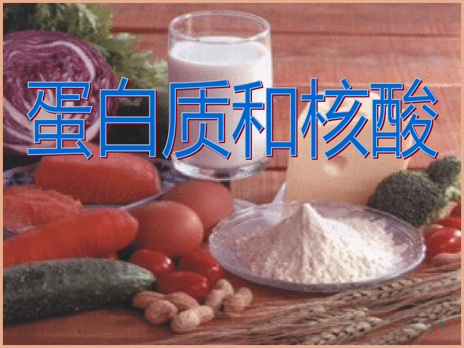 高中化学《蛋白质和核酸》精品课件 新人教版选修5_第2页