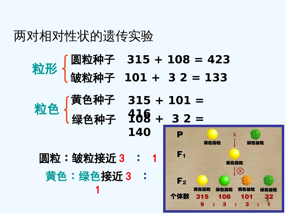 高中生物《第一章 第二节 孟德尔的豌豆杂交实验（二）》课件3 新人教版必修2_第3页