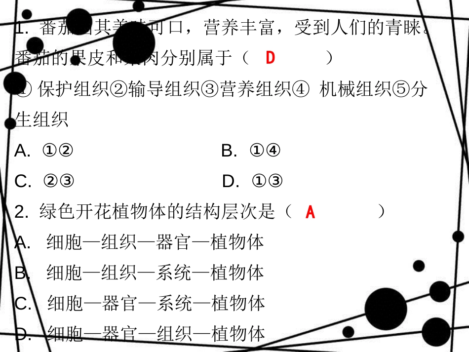七年级生物上册 第二单元 第二章 第三节 植物体的结构层次课堂十分钟课件 （新版）新人教版_第2页