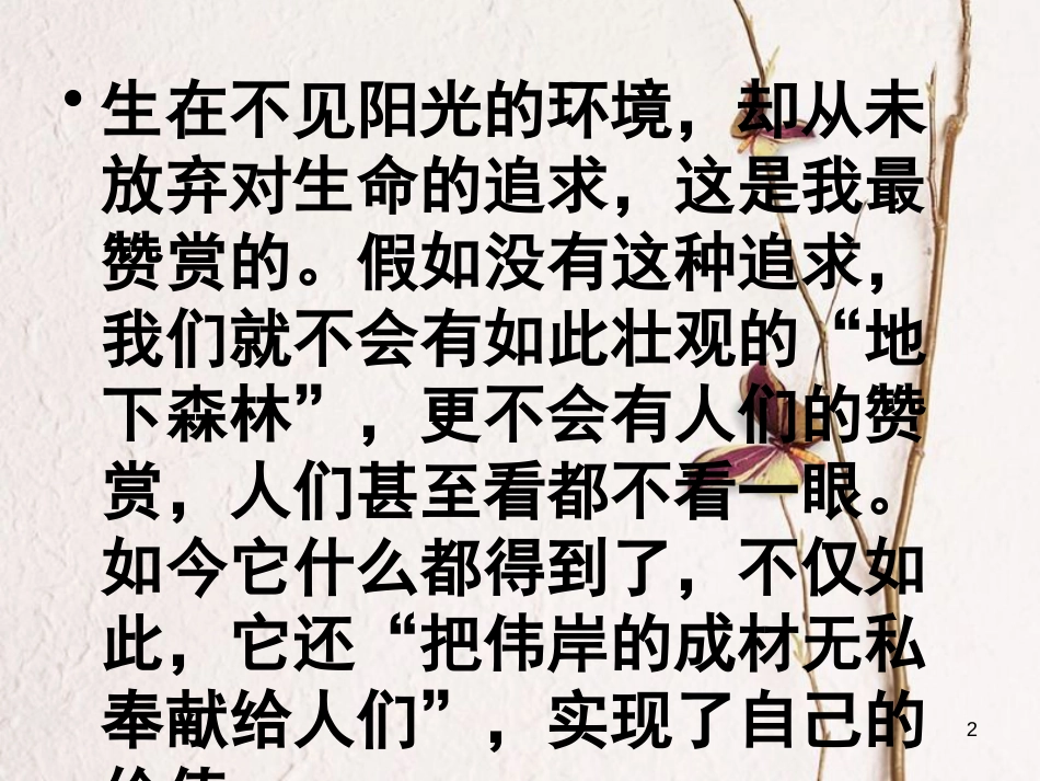九年级语文下册 第三单元 11《地下森林断想》课件 新人教版_第2页