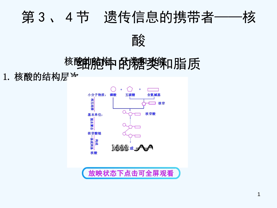 高考生物一轮复习 糖脂核酸课件_第1页