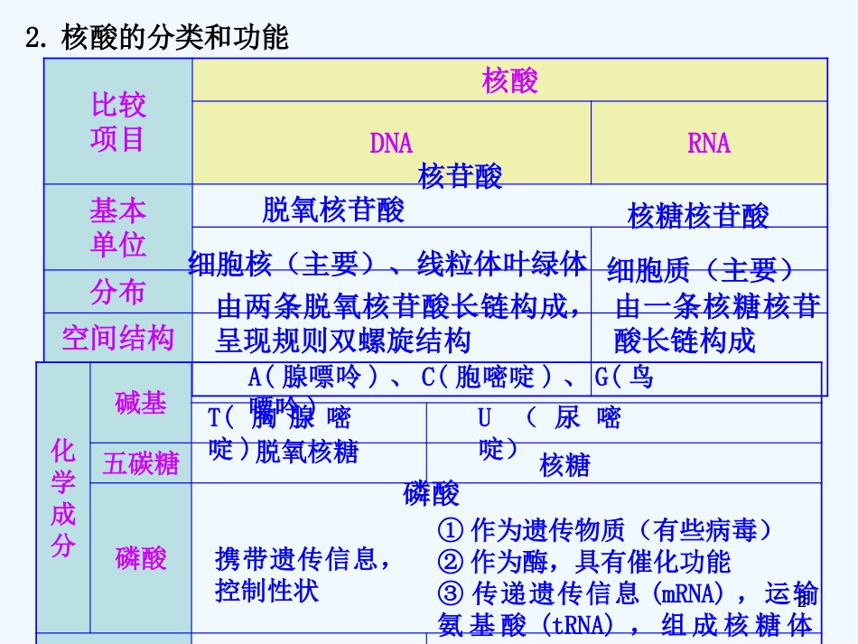 高考生物一轮复习 糖脂核酸课件_第2页