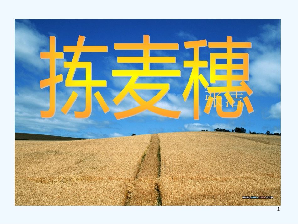 高中语文 第11课《拣麦穗》课件 粤教版必修1_第1页