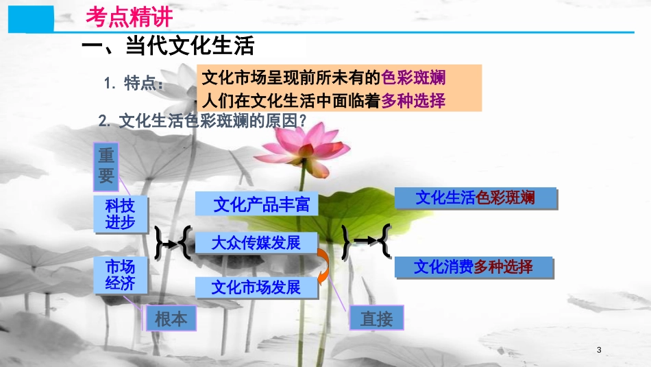 高考政治第十二单元发展先进文化课时1走进文化生活考点一发展人民大众喜闻乐见的文化课件新人教版必修3_第3页