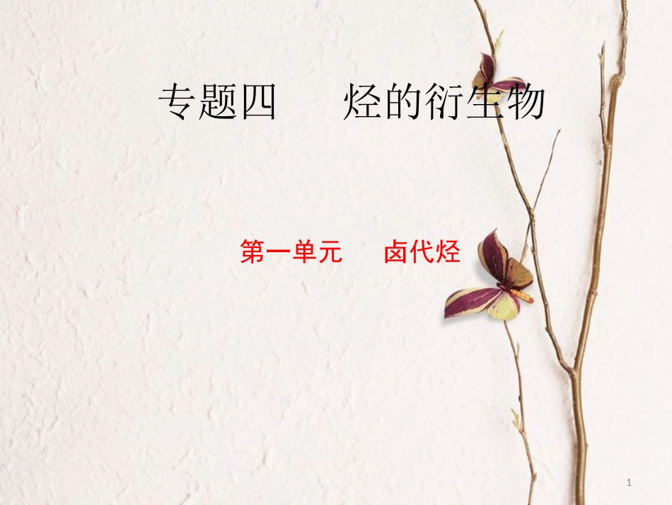 河北省南宫市高三化学二轮复习 卤代烃课件 新人教版_第1页