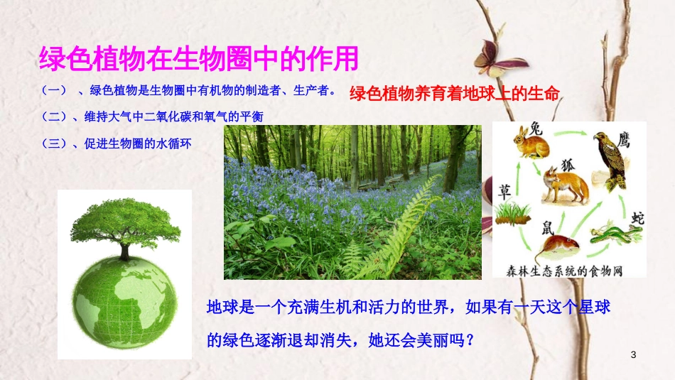 七年级生物上册 第三单元 第6章 爱护植被，绿化祖国课件 （新版）新人教版_第3页