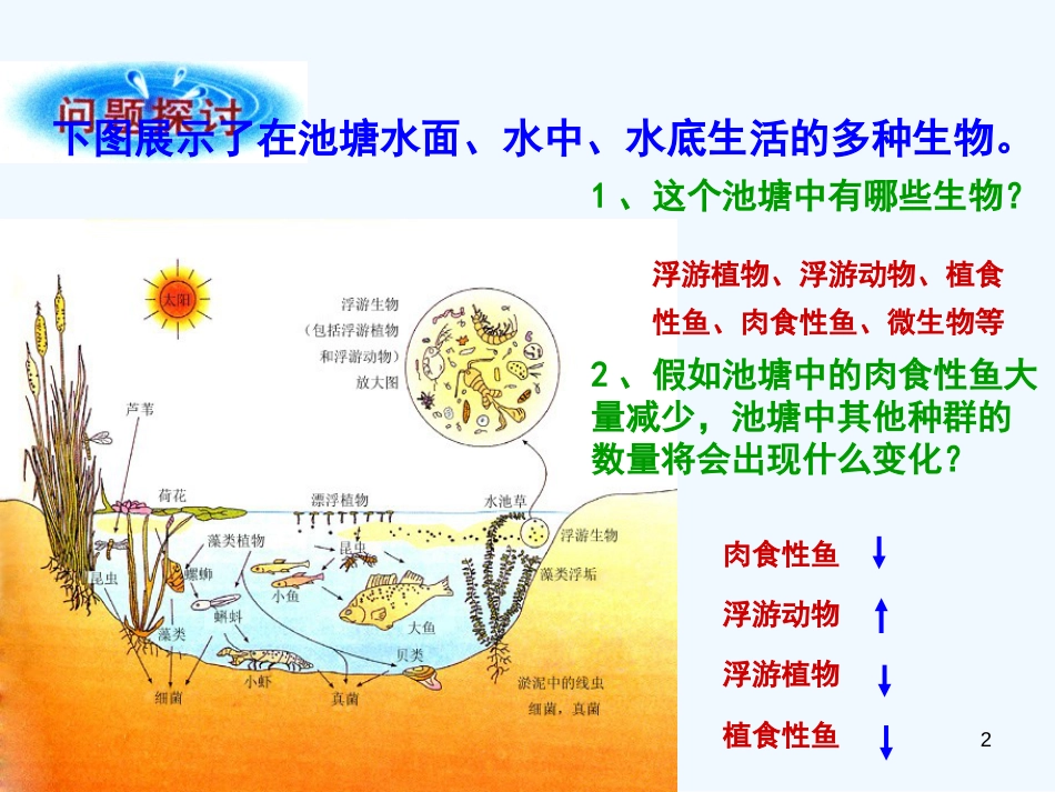 高中生物 4.3《群落的结构》课件（3） 新人教版必修3_第2页