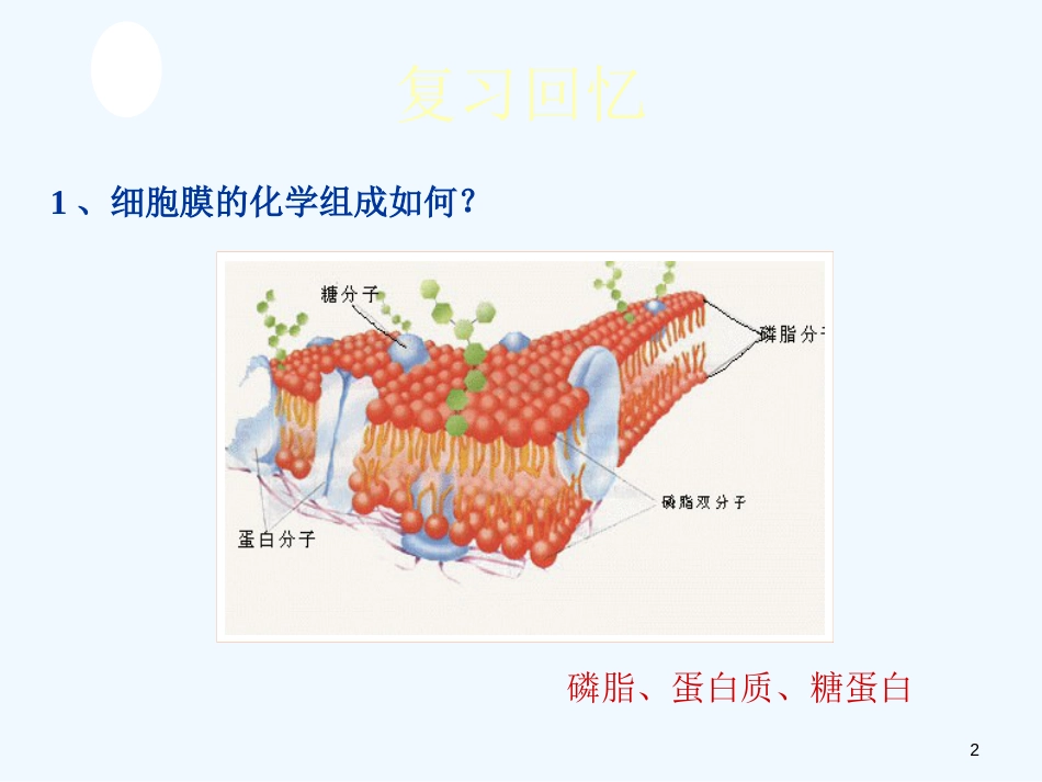 高二生物 细胞的生物膜系统课件 人教版_第2页